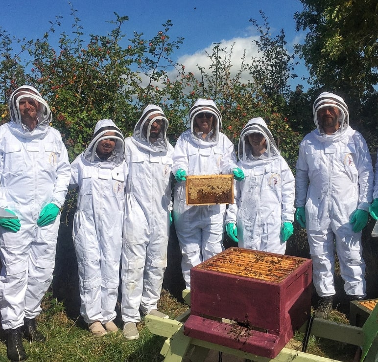 https://www.airfield.ie/wp-content/uploads/2019/01/Whats-on-at-Airfield-Estate-min.jpg