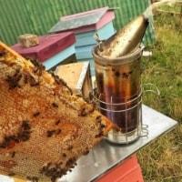 https://www.airfield.ie/wp-content/uploads/2019/02/Bee-Smoker-min.jpg