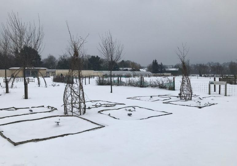 Gardens in Airfield after Storm Emma