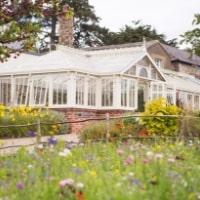 Greenhouse Garden