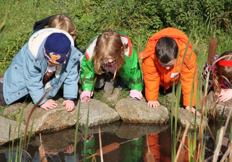 Primary School Group pond dipping Airfield Estate