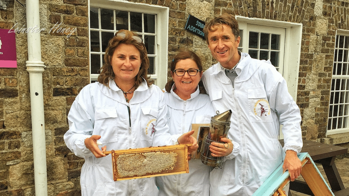 https://www.airfield.ie/wp-content/uploads/2019/02/bee-keeping-web-1200-×-675px.png