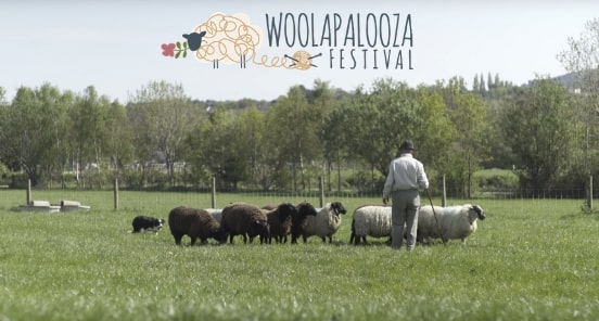 https://www.airfield.ie/wp-content/uploads/2019/03/Woolapalooza-Hero-Image-min.jpg