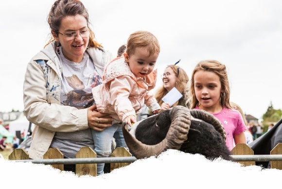 Meet the animals at Airfield Estate