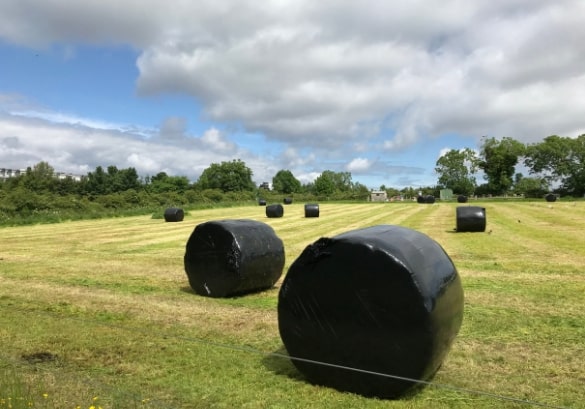 https://www.airfield.ie/wp-content/uploads/2019/07/Silage-Making-at-Airfield-Estate-1-min.jpg