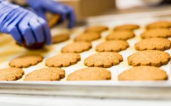 Protected: What’s All the Fuss about Ultra-processed?