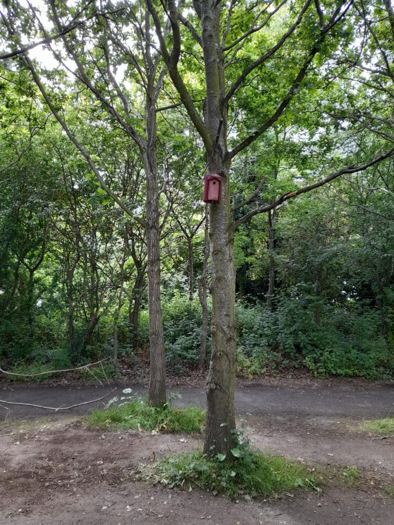 Nestbox 