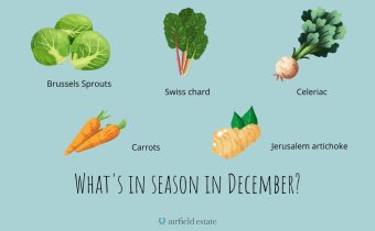 Seasonal Meal Planner