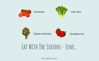 Seasonal Meal Planner