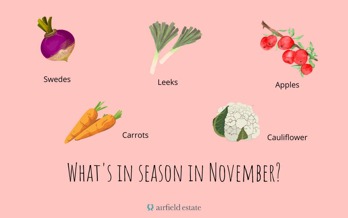 https://www.airfield.ie/wp-content/uploads/2020/05/Eat-With-the-Seasons-November.png