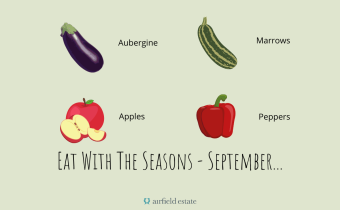 Seasonal Meal Planner