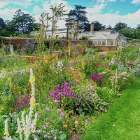 Orchard Border