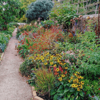 Potting Shed Border