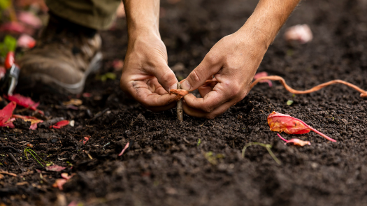 soil at Airfield