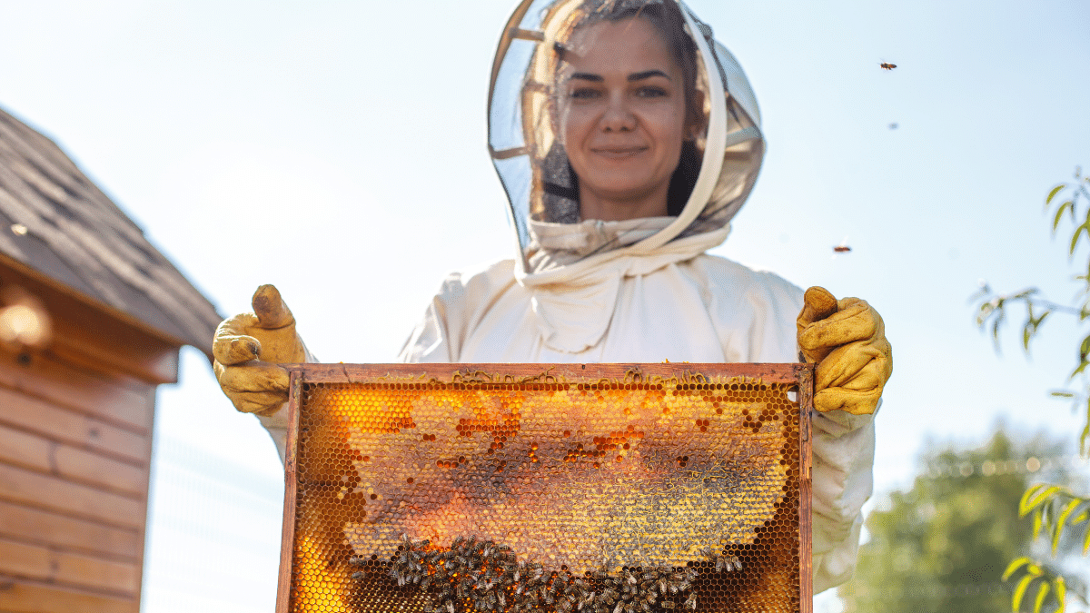 https://www.airfield.ie/wp-content/uploads/2022/02/teen-bee-keeping-web-1200-×-675px.png