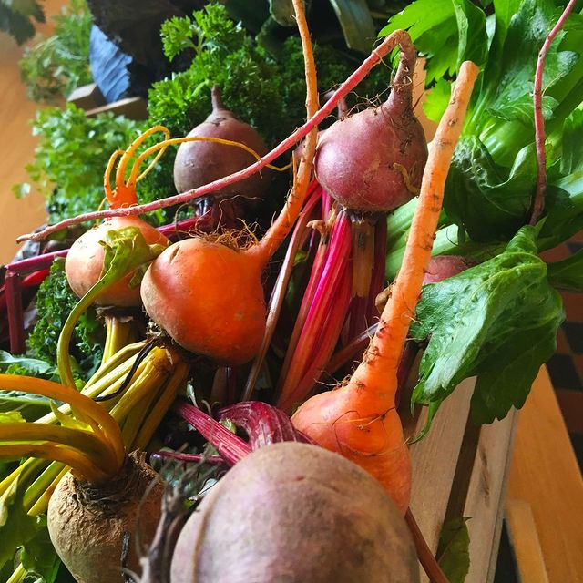 A selection of fresh vegetables