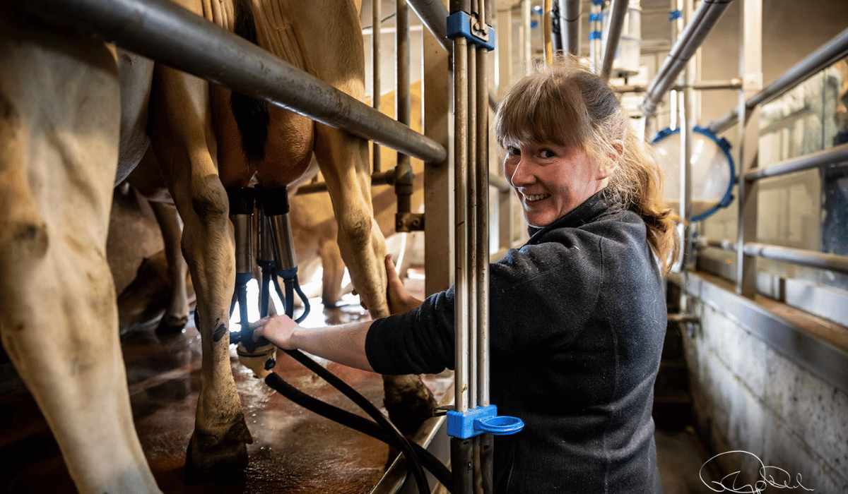 https://www.airfield.ie/wp-content/uploads/2022/03/Farmer-Rosie-Milking-cows-at-Airfield-Estate.png