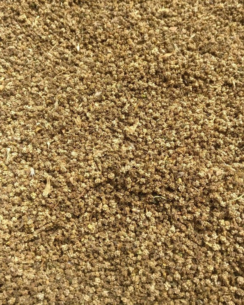 Image of seeds