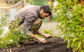 What to Sow in July