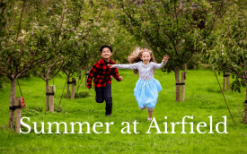 What’s New at Airfield for Summer 2023?