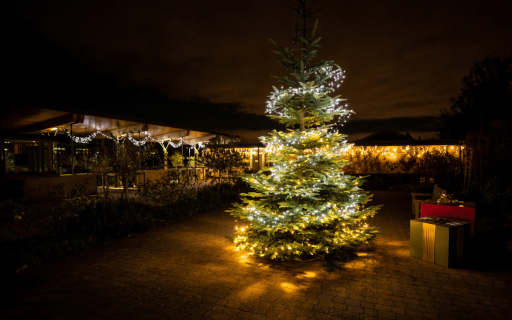 Christmas tree in the sunken garden at Airfield Estate lit up by christmas lights at night time.