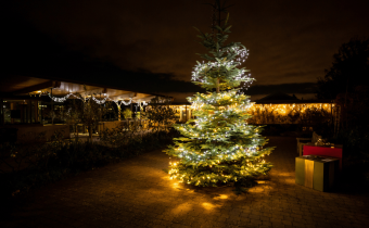 Winter Wonderland at Airfield Estate