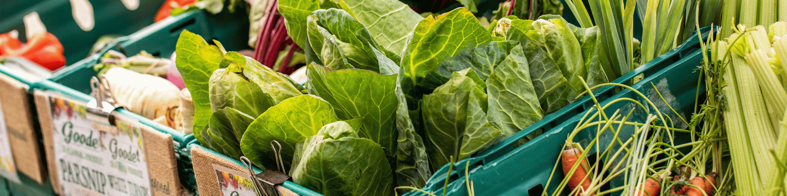 https://www.airfield.ie/wp-content/uploads/2023/10/Airfield-Farmers-Market-Fresh-vegetables.png