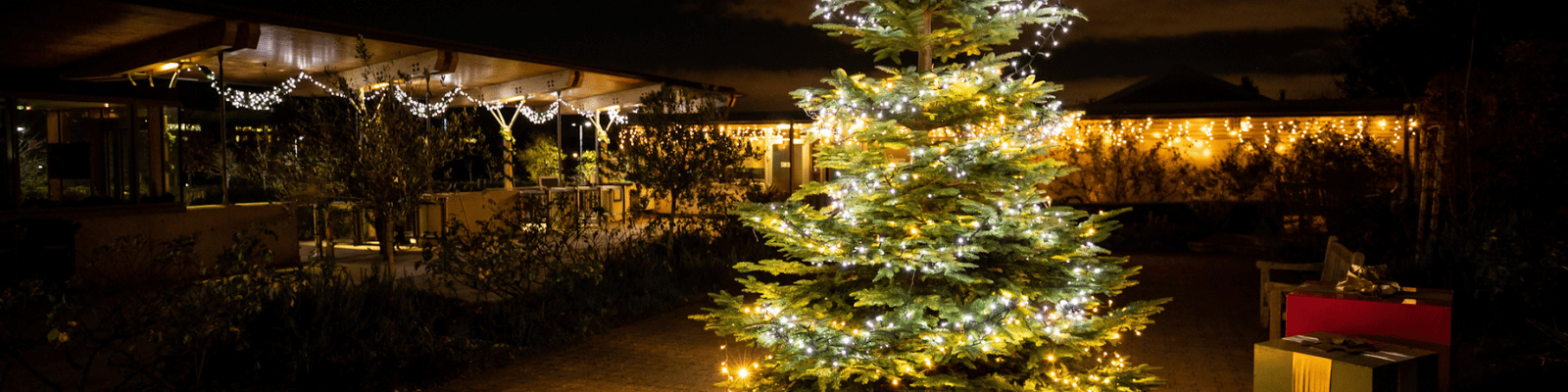 https://www.airfield.ie/wp-content/uploads/2023/11/Winter-Wonderland-at-Airfield-Estate-1.png