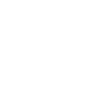 Icon Final