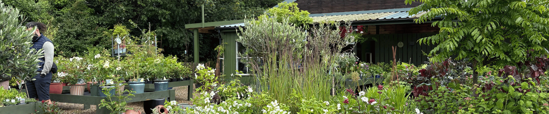 https://www.airfield.ie/wp-content/uploads/2025/06/Howbert-Mays-Garden-Centre-1.png